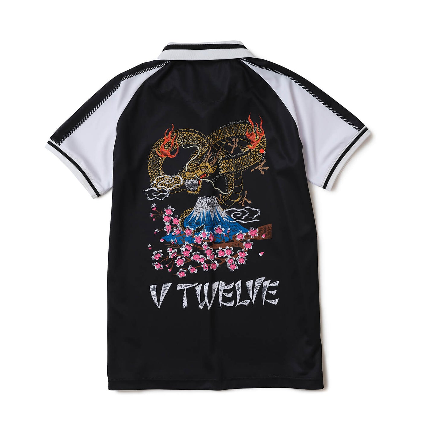 DG SKA POLO