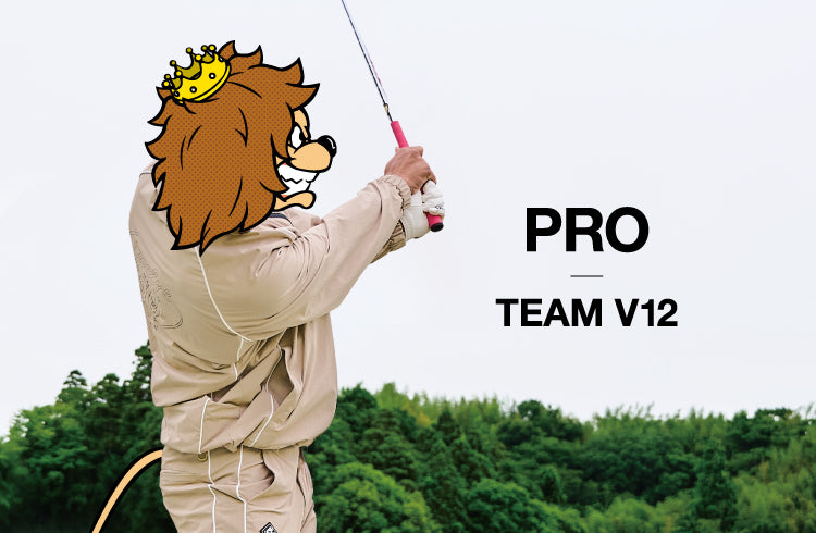 PRO TEAM V12