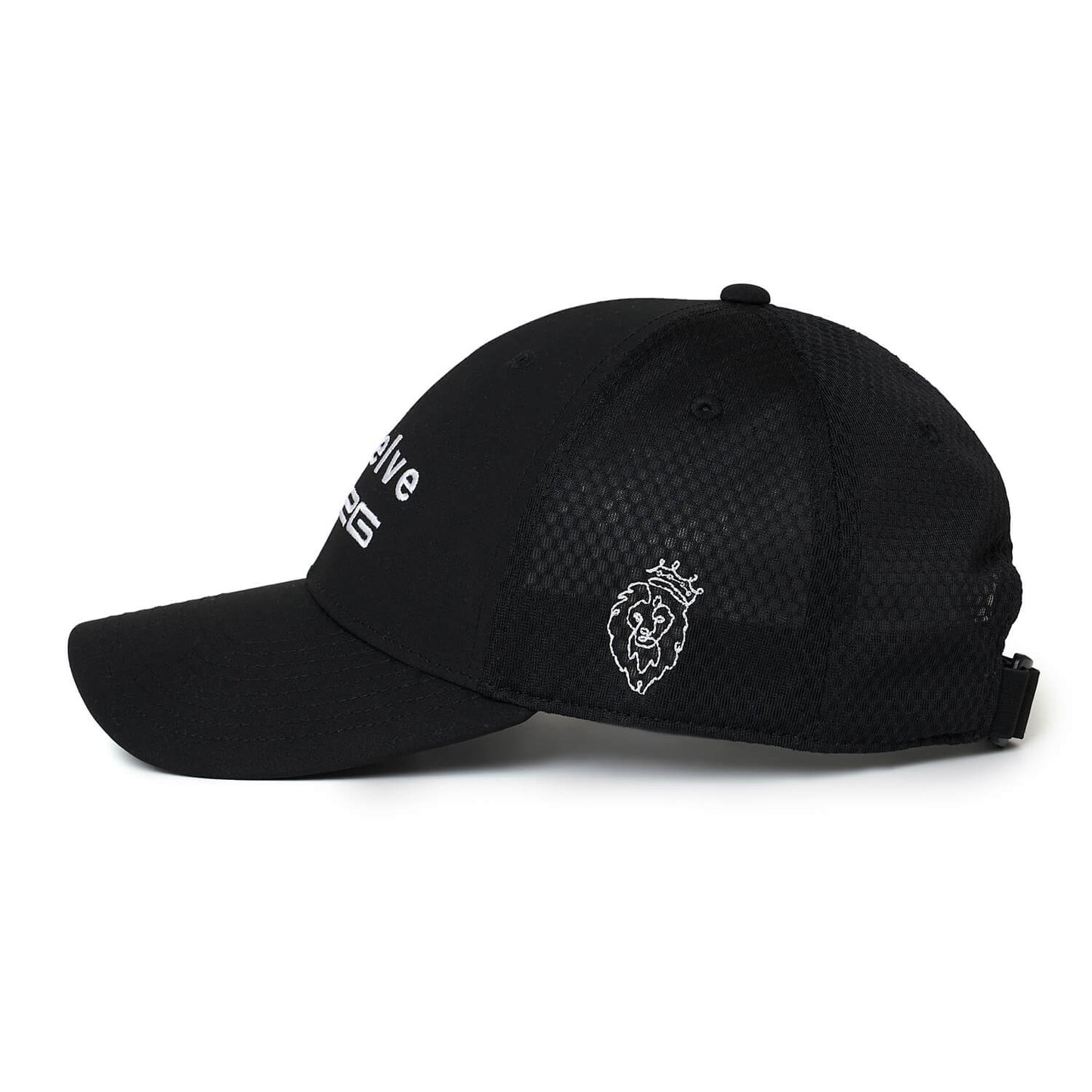 V12FR2 DUAL CAP