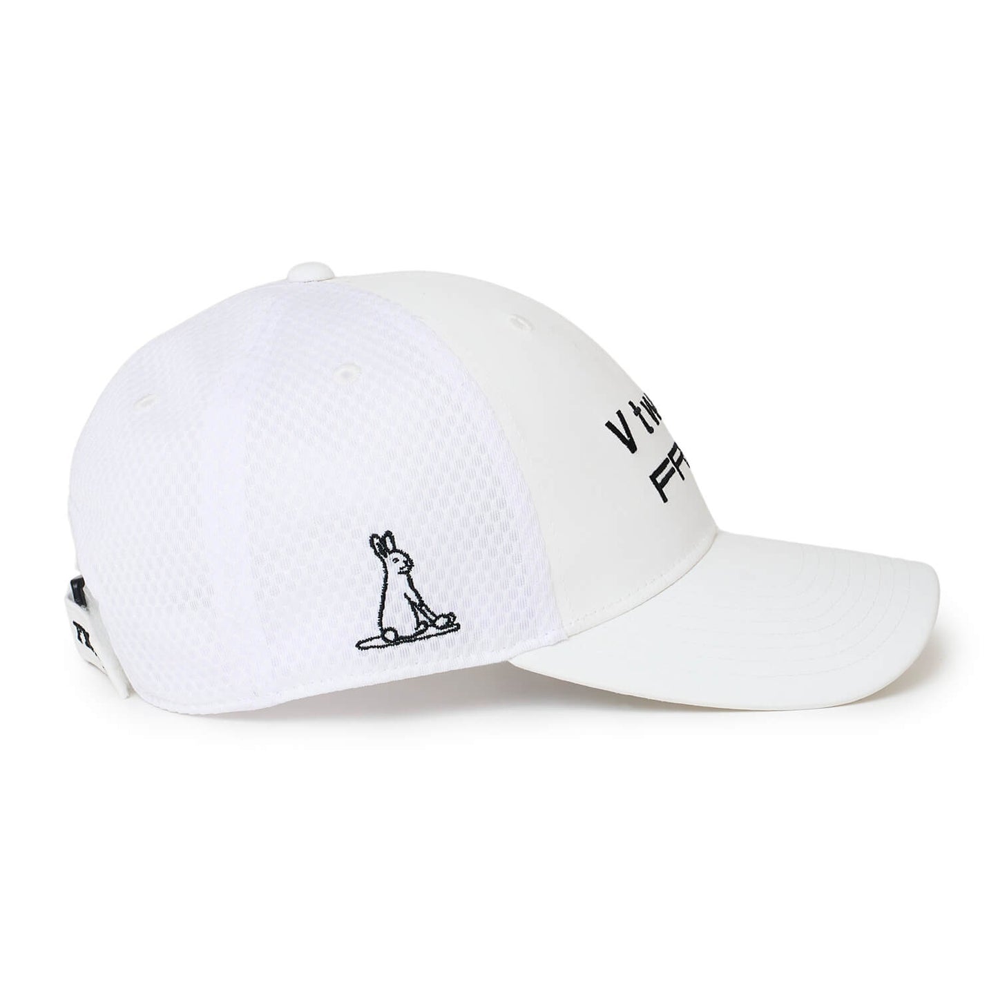 V12FR2 DUAL CAP