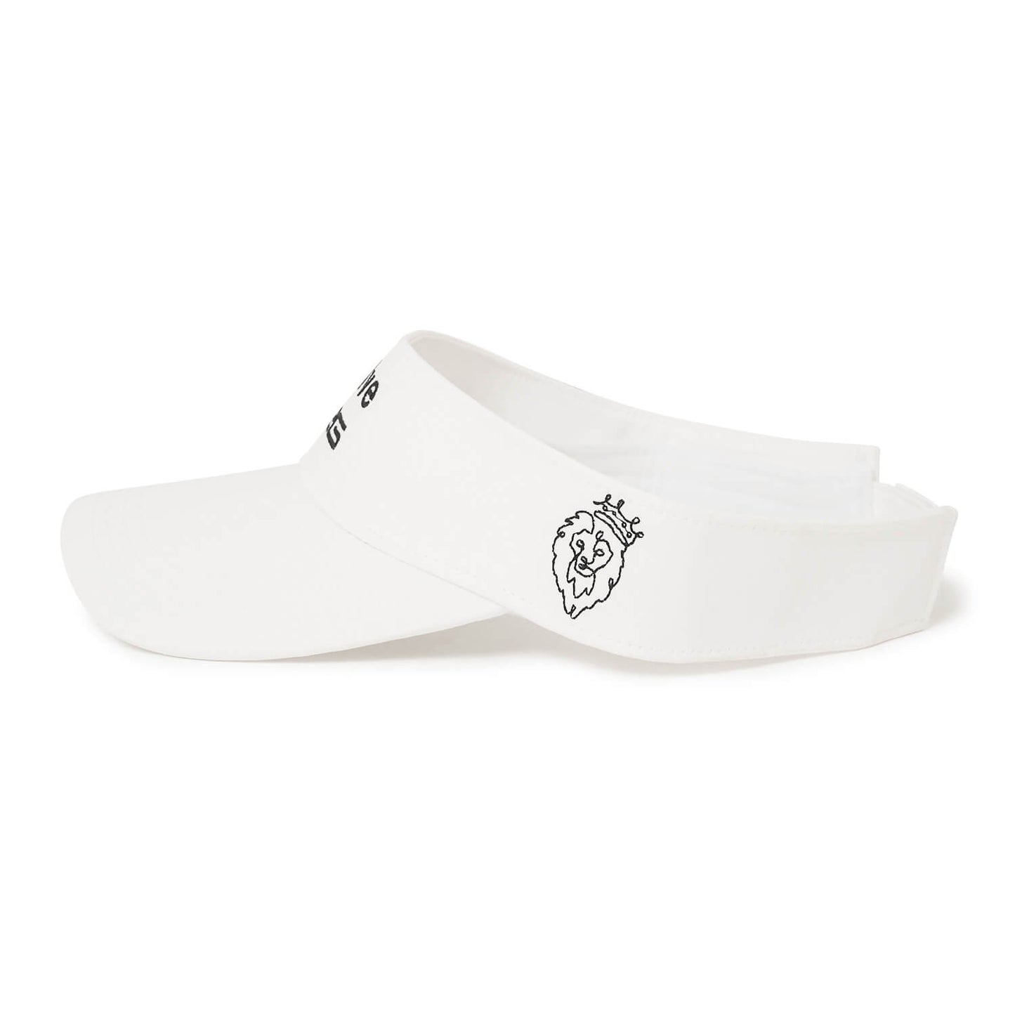 V12FR2 DUAL VISOR