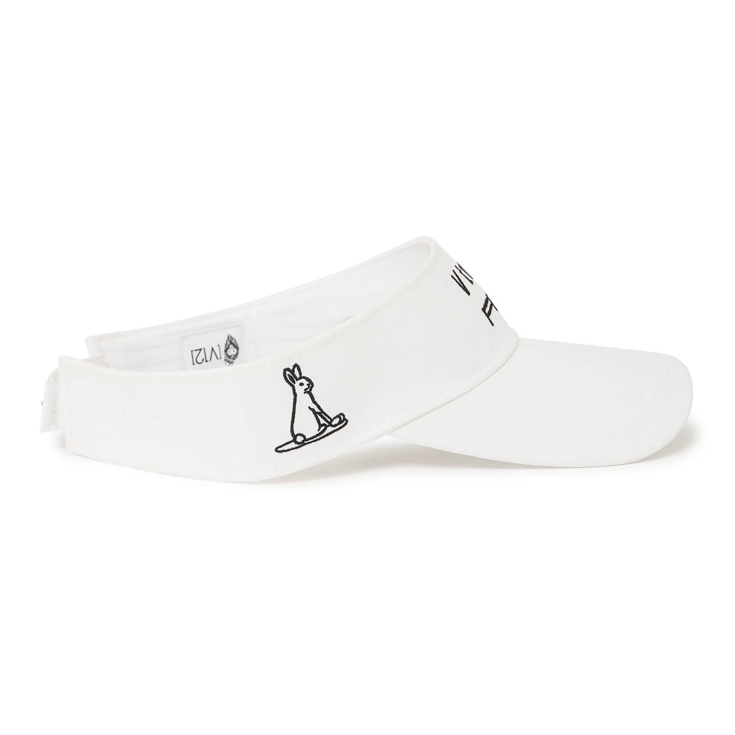 V12FR2 DUAL VISOR