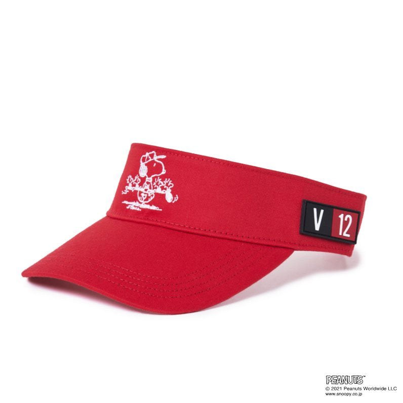 SP VISOR